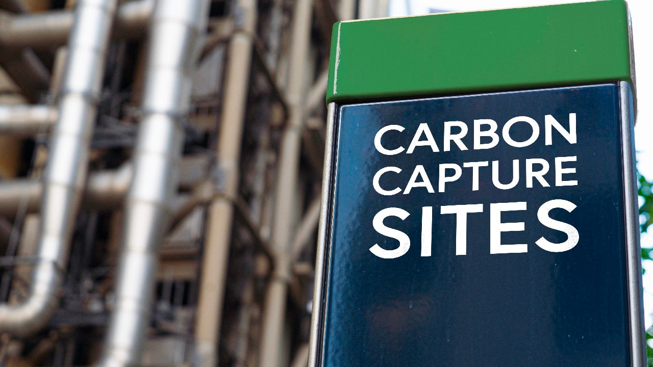A close-up of a green and blue sign that reads 