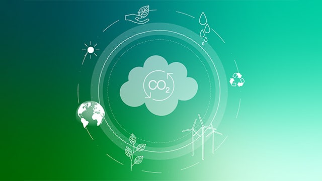 17906673-7f96-44b7-9cde-f24e50e6eba2 - eco-friendly-initiatives-gi1778184928-feature-640x360