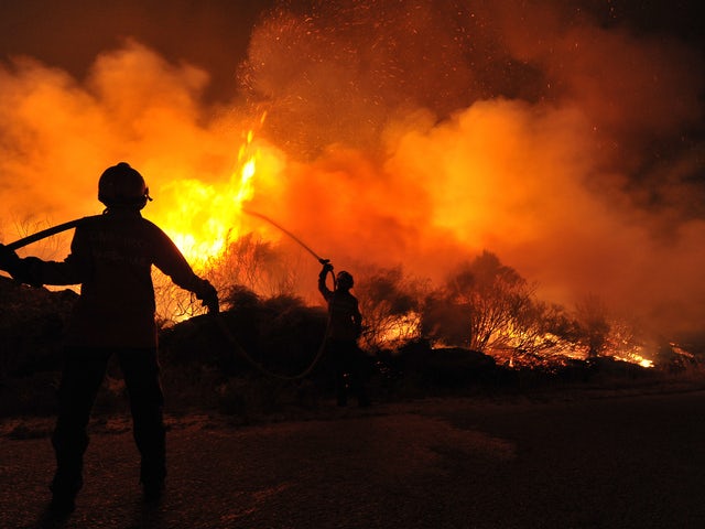 Bushfire . Fire brigade fighting against