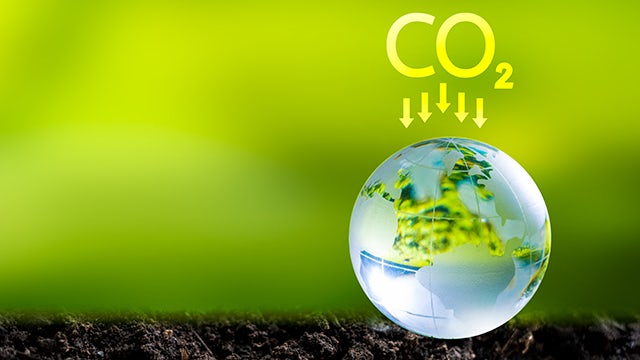 4de6a3f0-f6ae-41d9-a837-09c624a32d8f - transparent-globe-on-soil-gi1446873404-feature-640x360