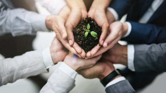 974f30ce-095d-44e2-9583-5c34307d05e6 - group-of-hands-collaboratively-holding-a-small-plant-GettyImages-629358800 original