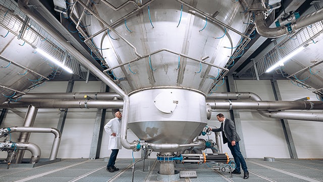 A bakery and confectionery factory with professionals working in the background.