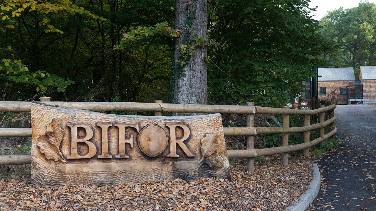 bifor-34-1280x720