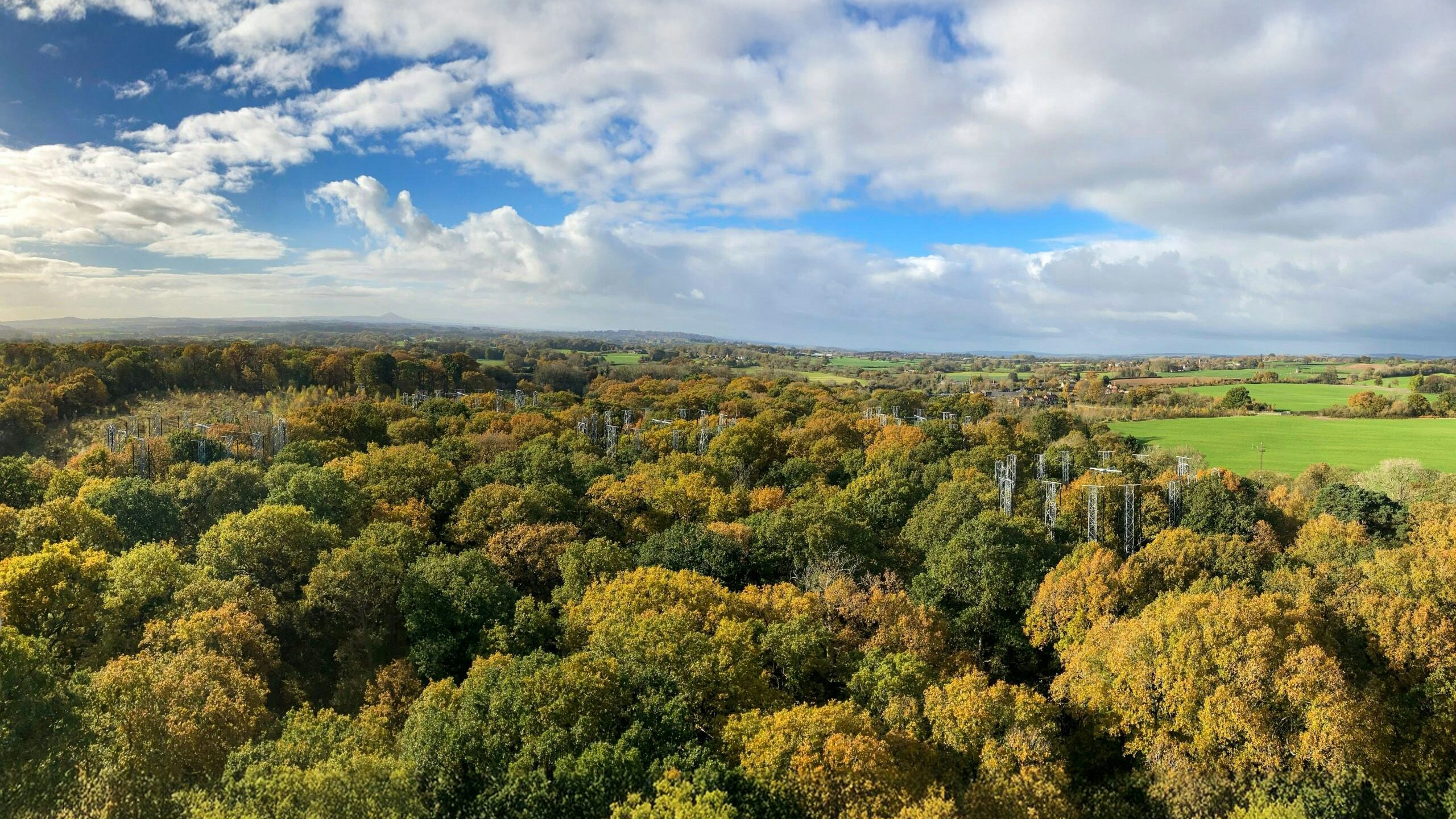 bifor-forest-facility-shero-2560x1440