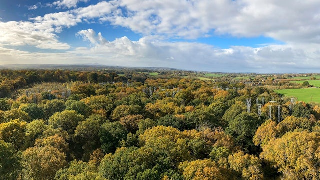 bifor-forest-facility-tc-1200x600