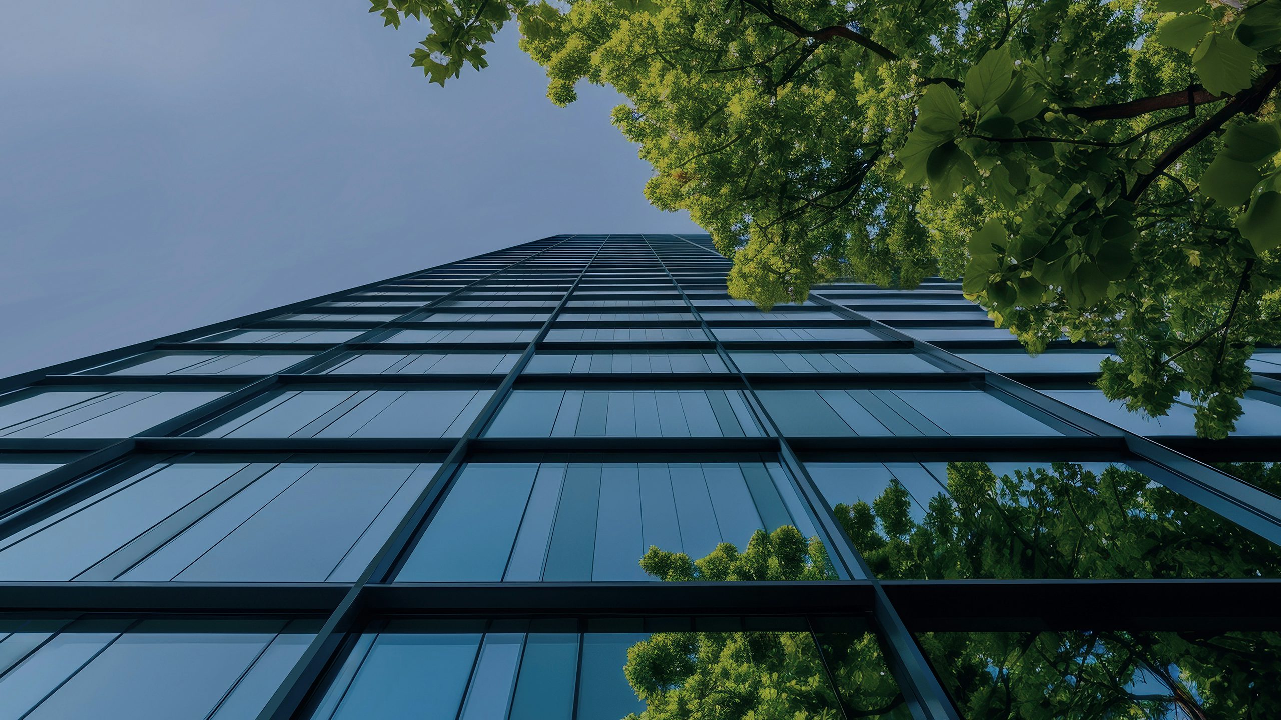 Green poster highlighting decarbonization and energy efficiency with building and tree silhouettes