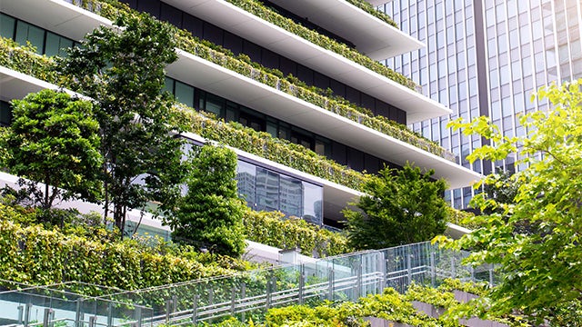 The cover of the white paper, featuring a building and greenery