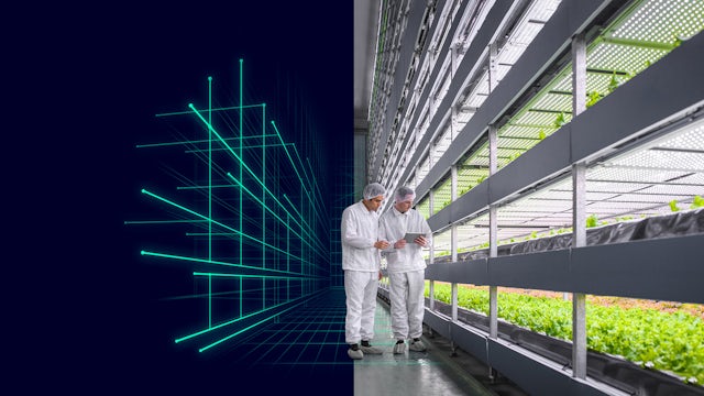 Two industrial agriculture workers examine indoor crops and compare to tablet data.