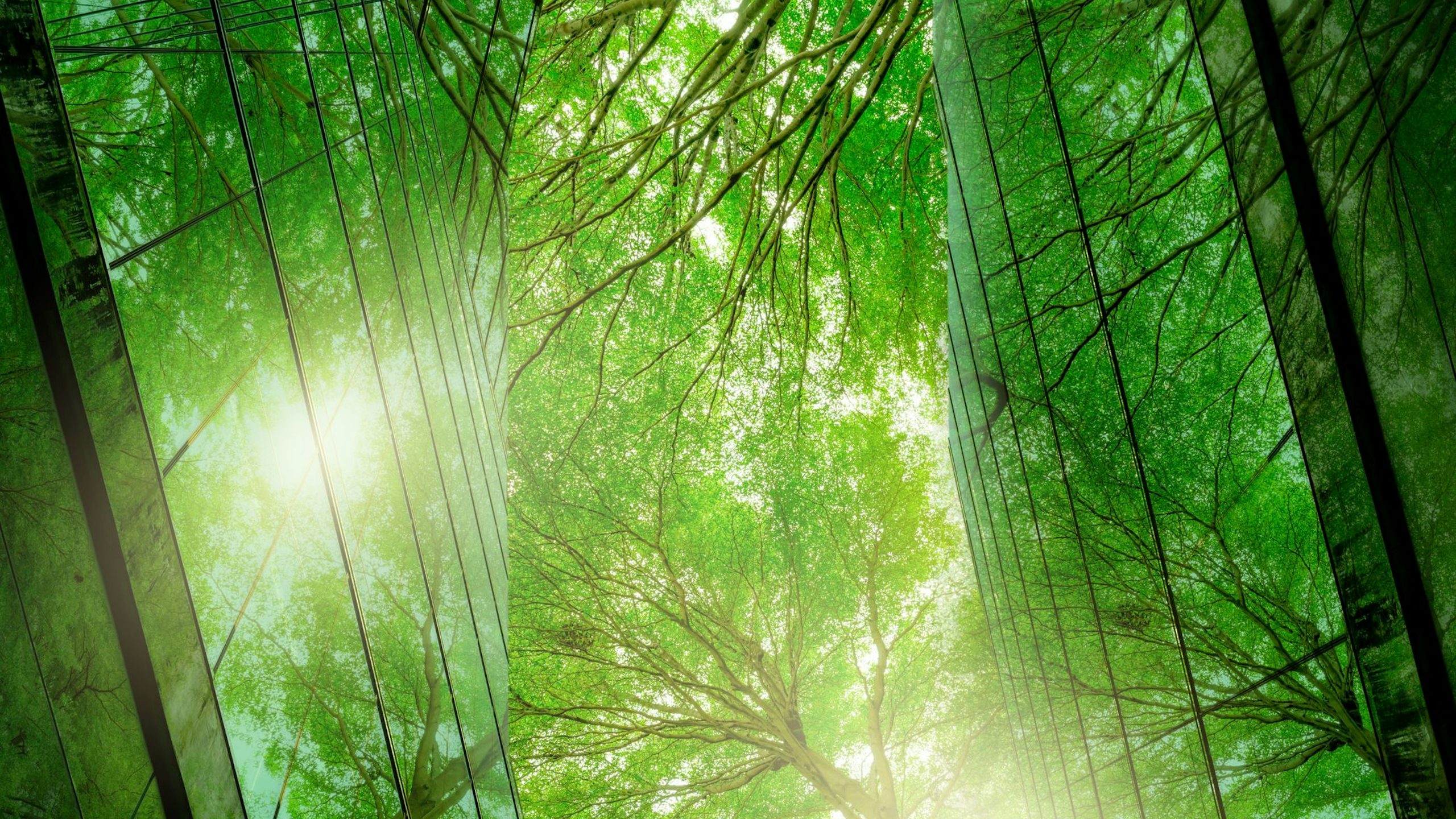 A green building with a modern architectural design, surrounded by lush greenery. 