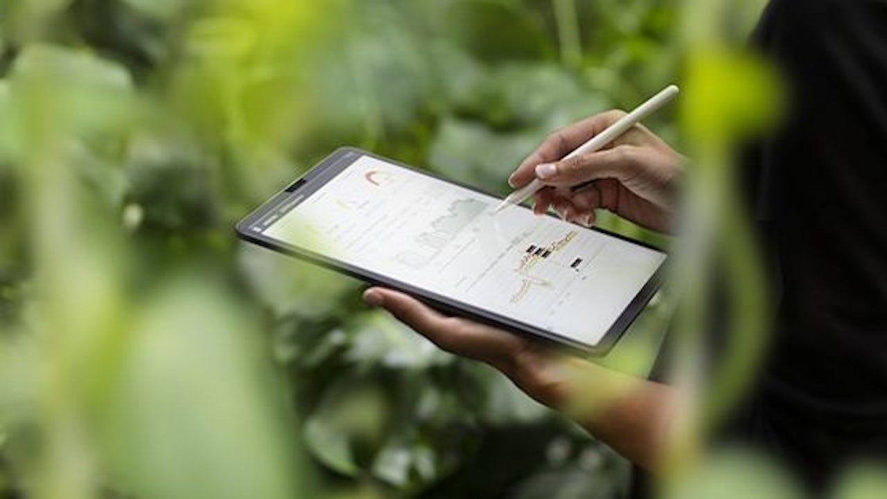 Hands hold and tap a tablet among a forest of greenery.