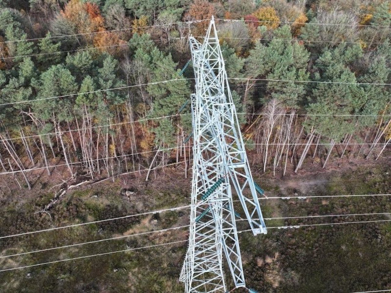 Power line tower in autumn forest