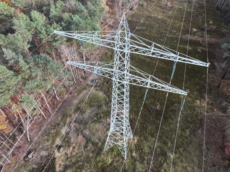 Aerial view of power lines over forest