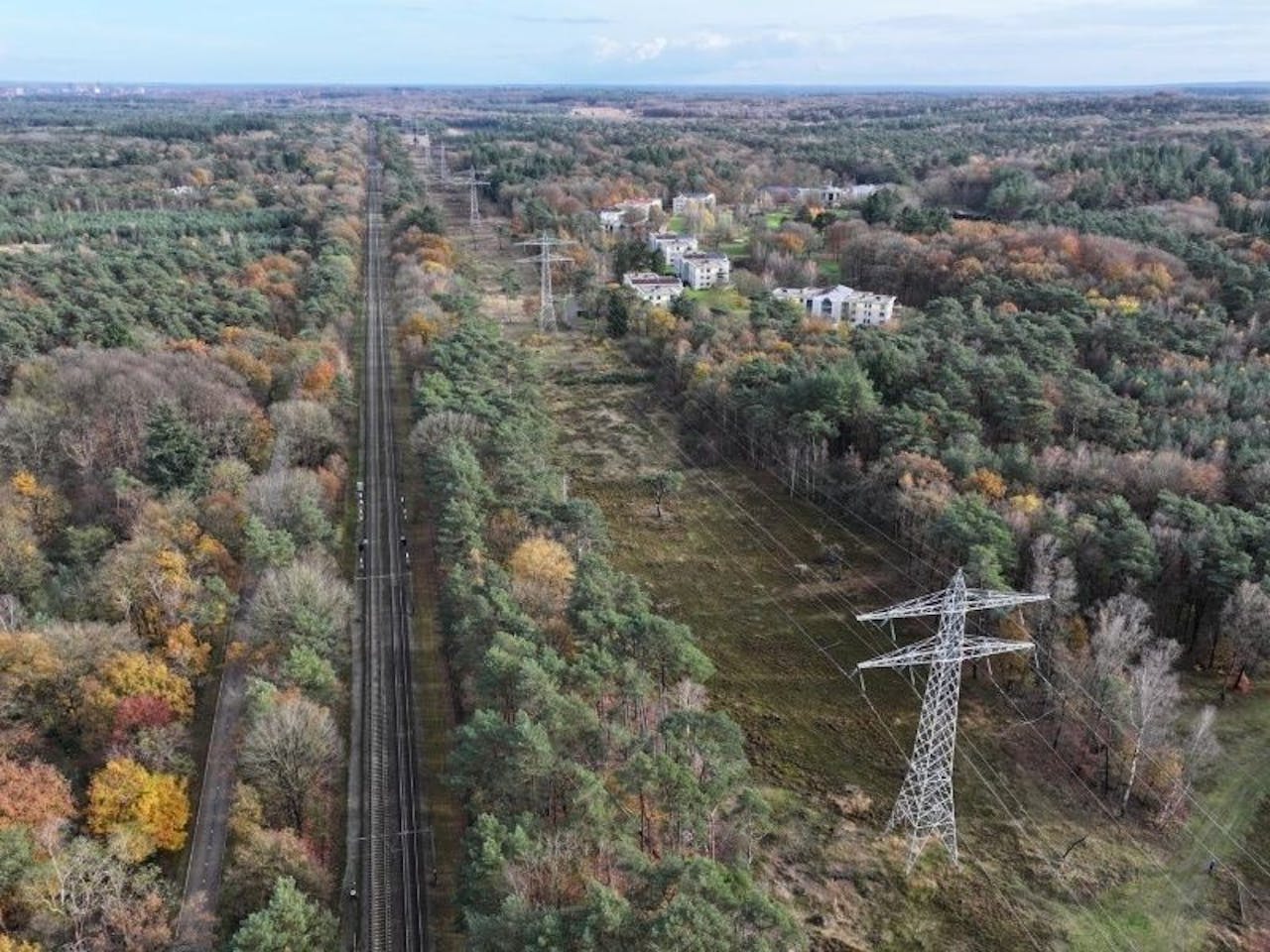 Aerial view of forest with power lines