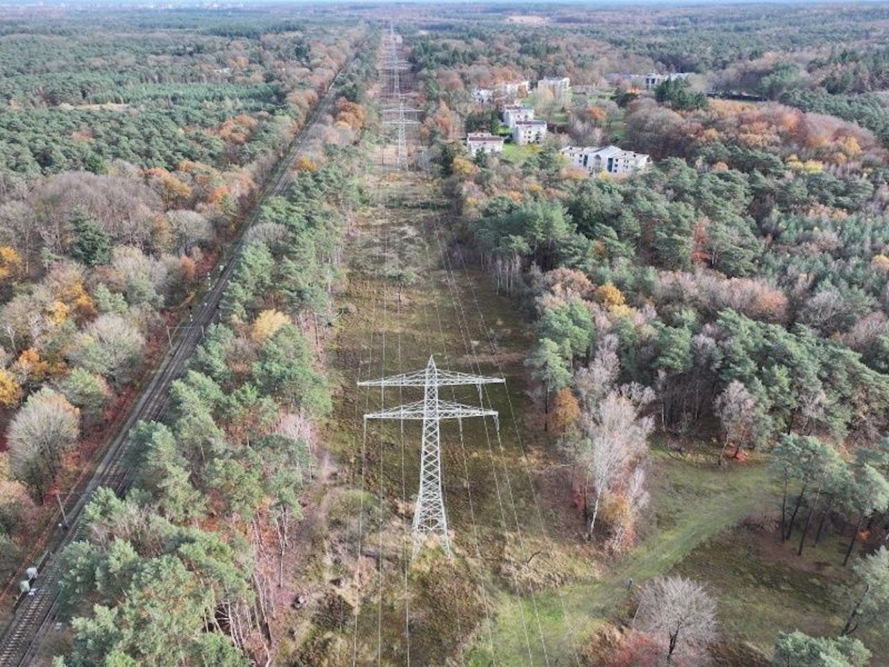 Aerial view of forest with power lines