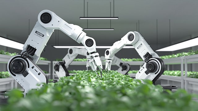 Robot arms tending to plants in a greenhouse.