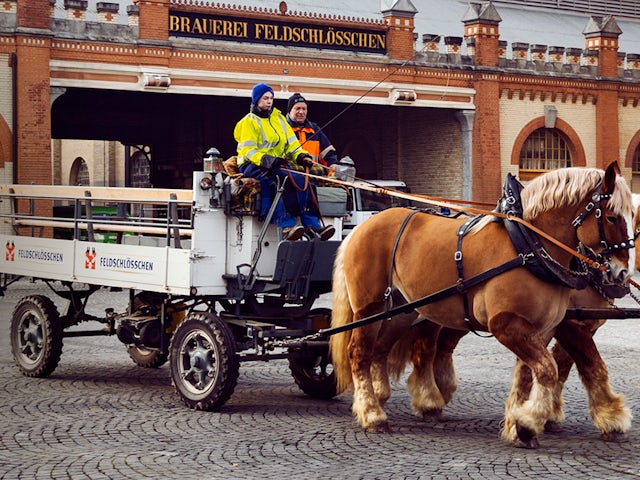 A horse-drawn carriage is traveling on a paved road with a person sitting inside.