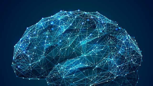 digital brain 