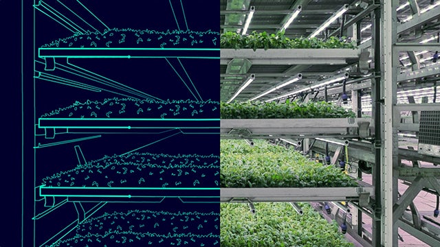 A digital twin feature of a vertical farming system with a tank farm and terminals.