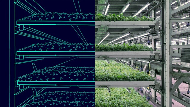The image shows a digital twin of a vertical farm with various plants and equipment.