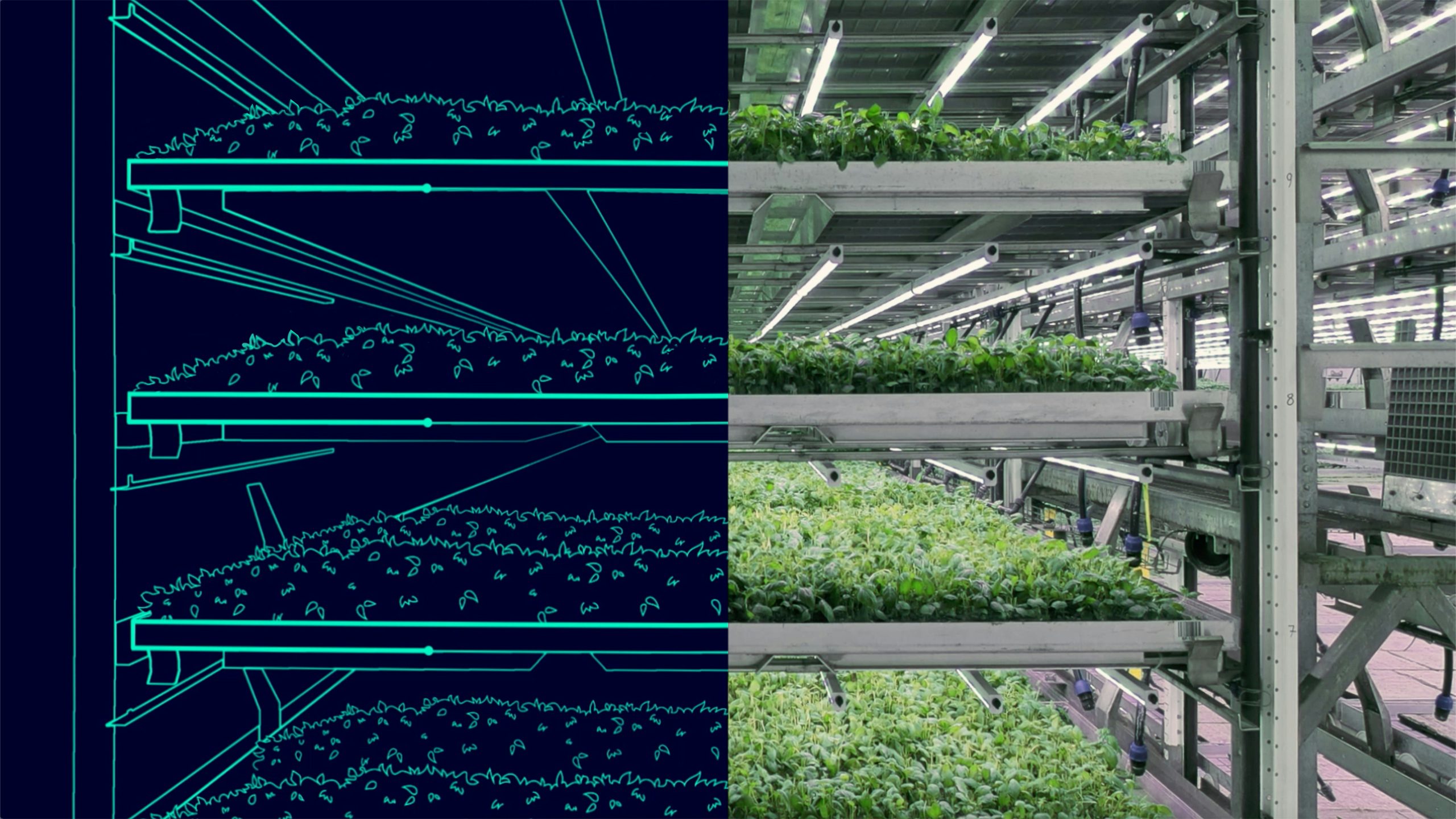 A digital twin of a vertical farm with a modern building and green plants.