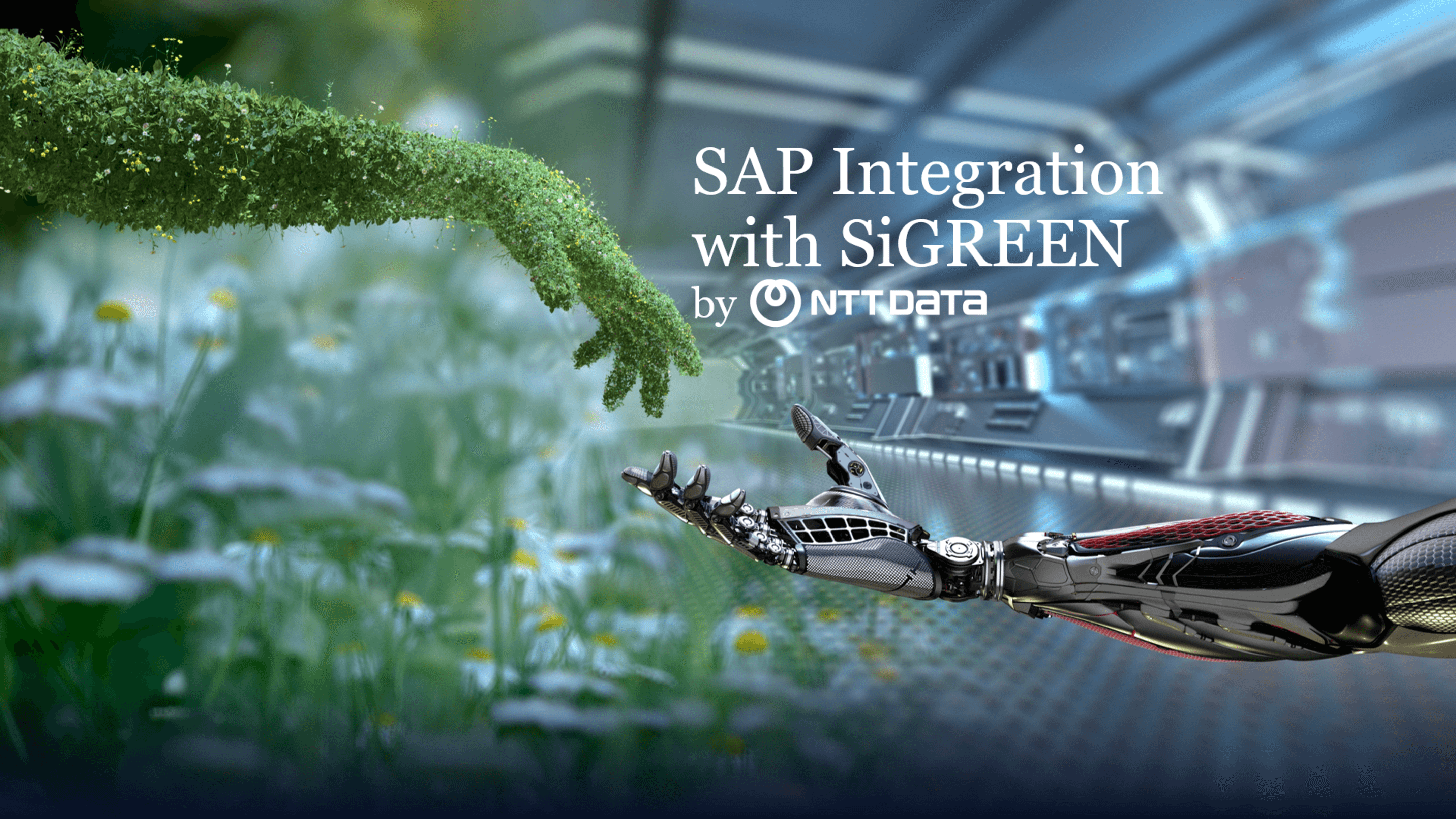 SAP Integration NTT